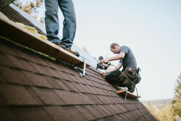 Best Roof Gutter Cleaning  in Brownfields, LA